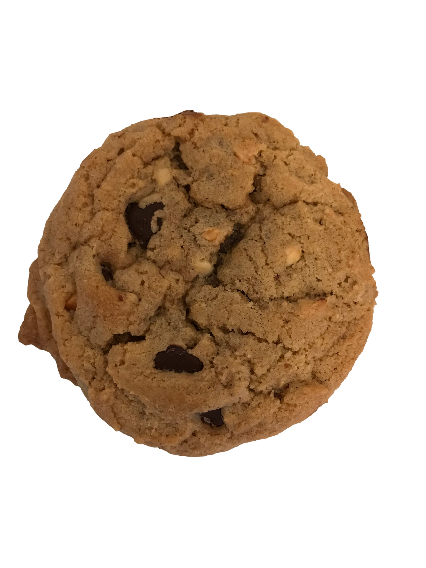 Leadbetter Peanut Butter Chocolate Chip Cookies: a perfect duo of extra crunchy peanut butter and rich chocolate, freshly packed in a convenient stand-up pouch.